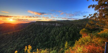 Canyon Lookout - Springbrook National Park - QLD T (PB5D 00 3900)